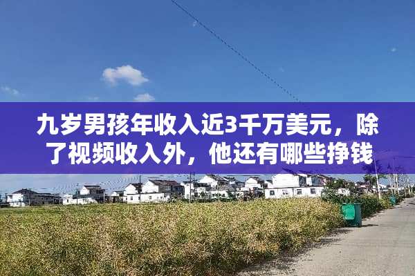 九岁男孩年收入近3千万美元，除了视频收入外，他还有哪些挣钱渠道？