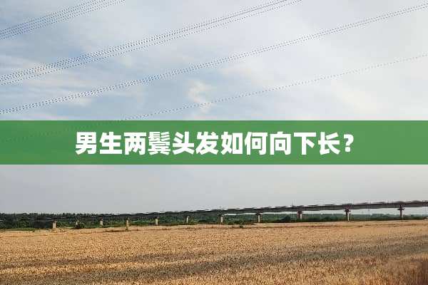 男生两鬓头发如何向下长？