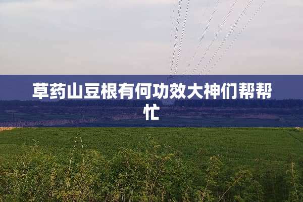 草药山豆根有何功效大神们帮帮忙