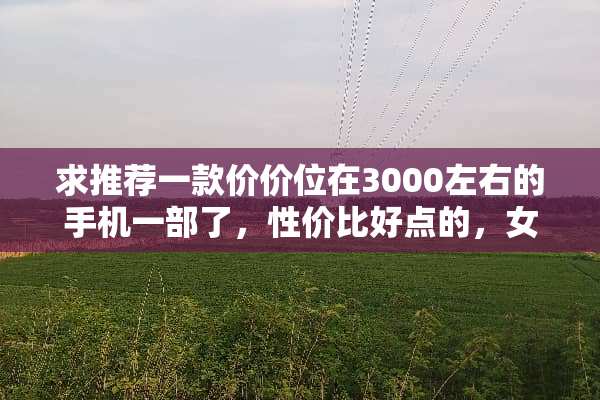 求推荐一款价价位在3000左右的手机一部了，性价比好点的，女生用