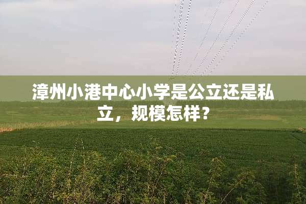 漳州小港中心小学是公立还是私立，规模怎样？