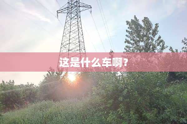 这是什么车啊？