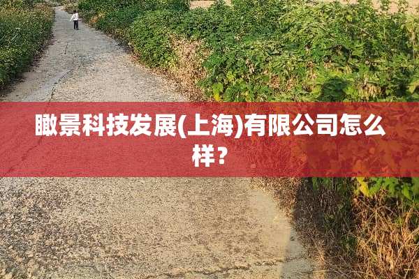 瞰景科技发展(上海)有限公司怎么样？