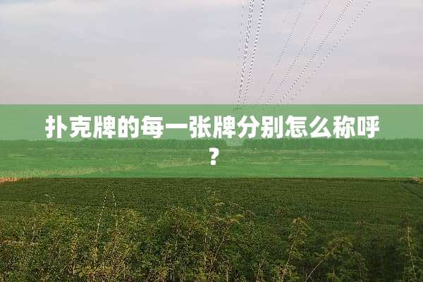**牌的每一张牌分别怎么称呼？