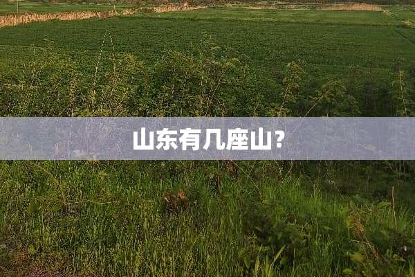 山东有几座山？