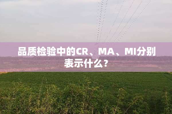 品质检验中的CR、MA、MI分别表示什么？