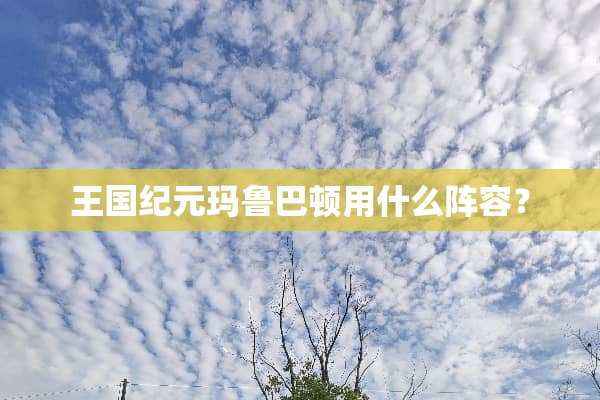 王国纪元玛鲁巴顿用什么阵容？