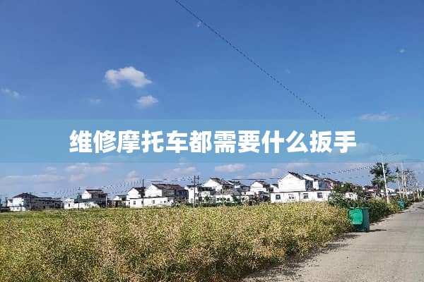 维修摩托车都需要什么扳手