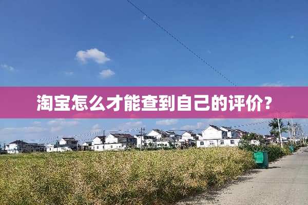 淘宝怎么才能查到自己的评价？