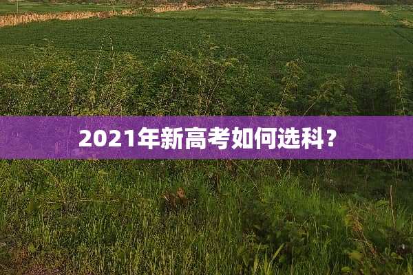 2021年新高考如何选科？