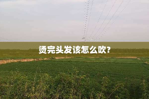 烫完头发该怎么吹？