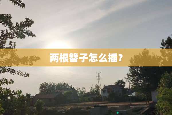 两根簪子怎么插？