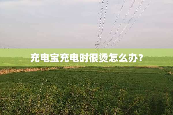 充电宝充电时很烫怎么办？
