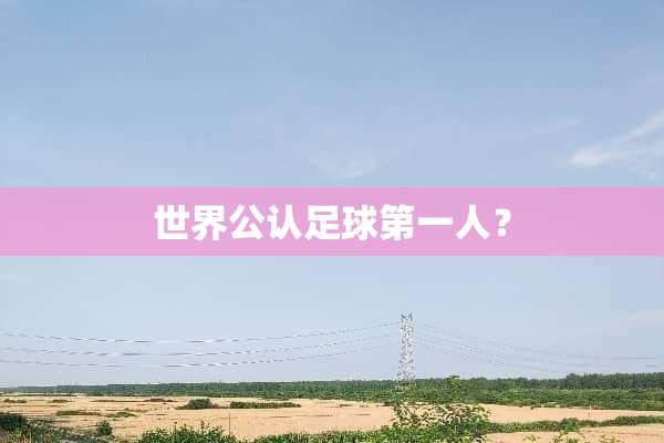 世界公认**第一人？