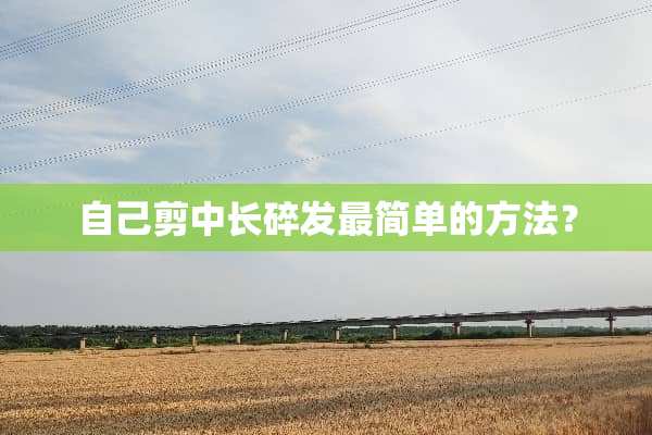 自己剪中长碎发最简单的方法？