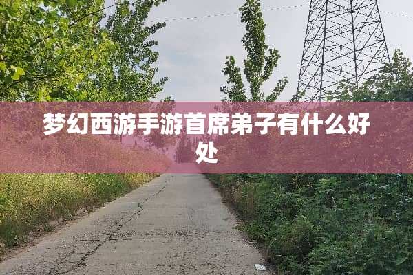 梦幻西游手游首席弟子有什么好处