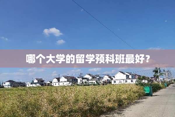 哪个大学的留学预科班最好？