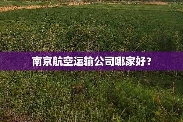 南京航空运输公司哪家好？