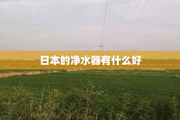 日本的***有什么好