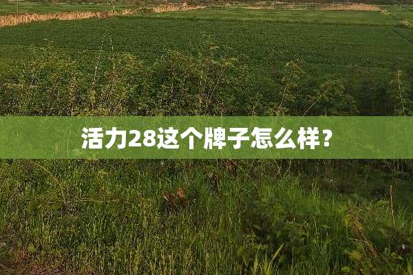 活力28这个牌子怎么样？