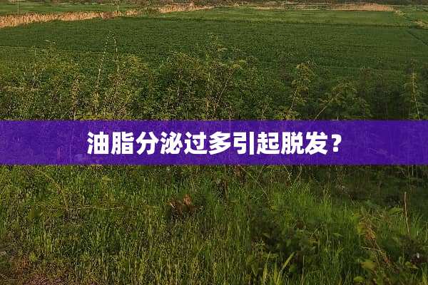 油脂分泌过多引起脱发？