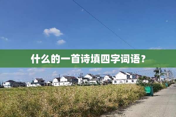 什么的一首诗填四字词语？