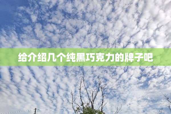 给介绍几个纯黑巧克力的牌子吧