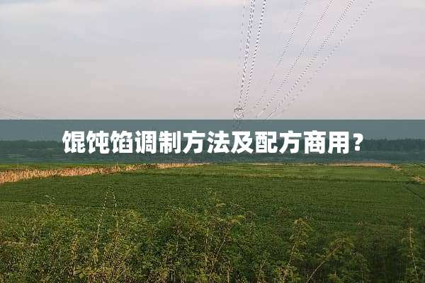 馄饨馅调制方法及配方商用？