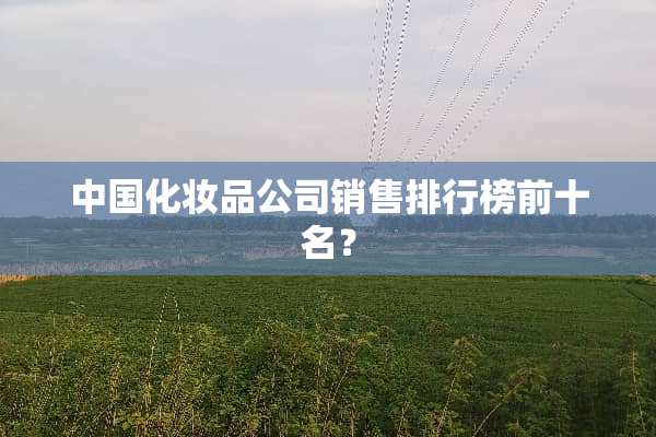 中国化妆品公司销售排行榜前十名？