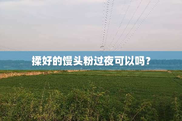 揉好的馒头粉过夜可以吗？