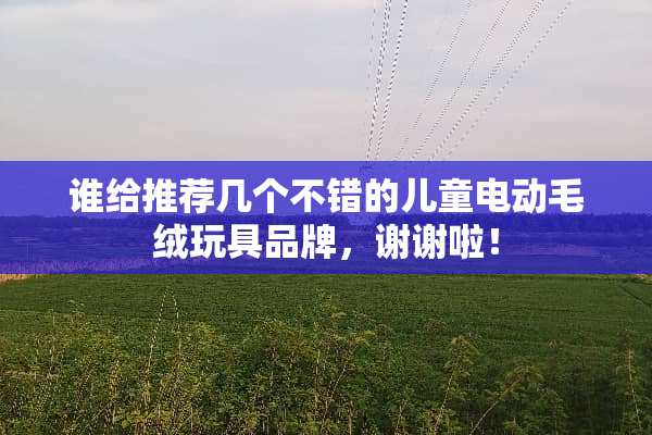 谁给推荐几个不错的儿童电动毛绒玩具品牌，谢谢啦！