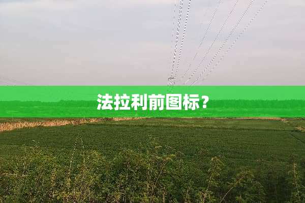 法拉利前图标？