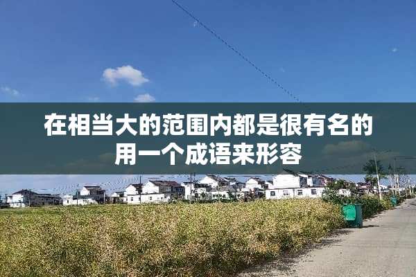 在相当大的范围内都是很有名的用一个成语来形容