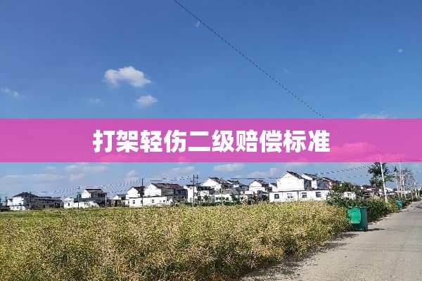 打架轻伤二级赔偿标准
