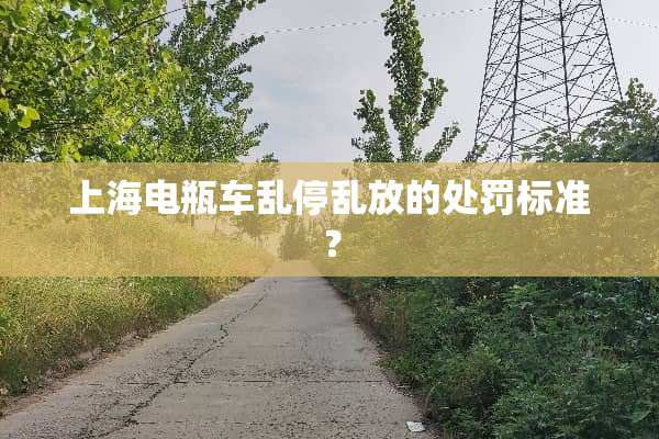 上海电瓶车乱停乱放的处罚标准？