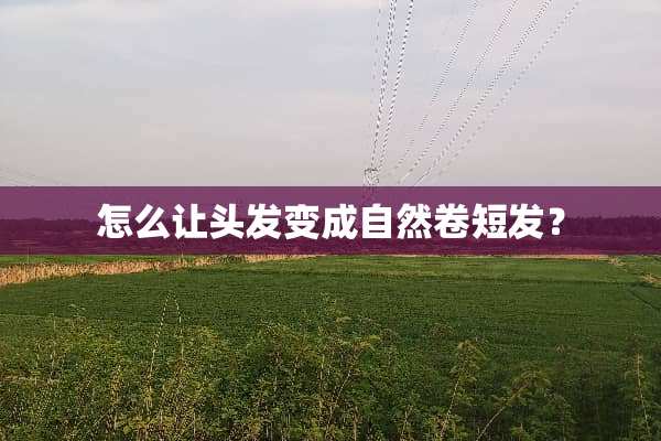 怎么让头发变成自然卷短发？