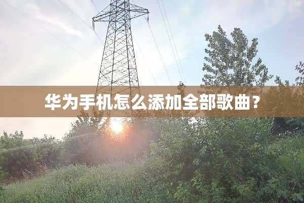 华为手机怎么添加全部歌曲？