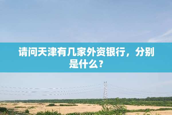请问天津有几家外资银行，分别是什么？