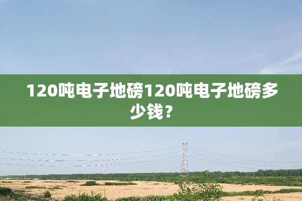 120吨电子**120吨电子**多少钱？