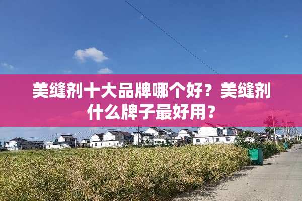美缝剂十大品牌哪个好？美缝剂什么牌子最好用？