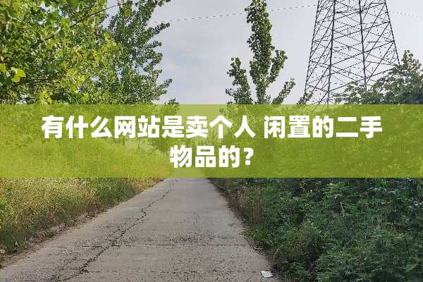 有什么网站是卖个人 闲置的二手物品的？