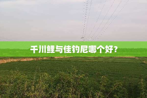 千川鲤与佳钓尼哪个好？