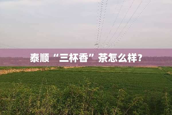 泰顺“三杯香”茶怎么样？