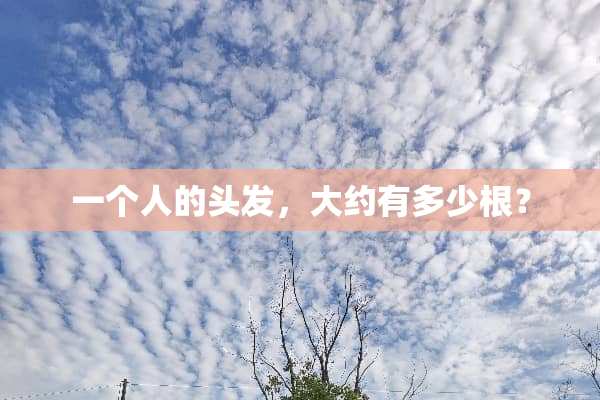 一个人的头发，大约有多少根？