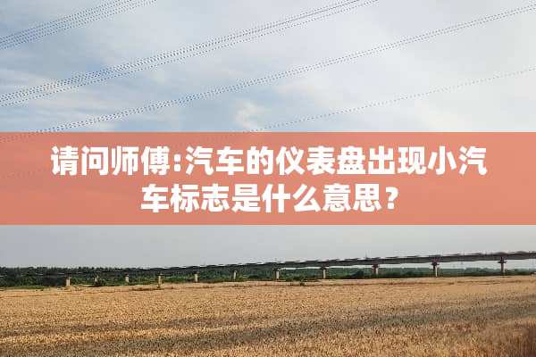 请问师傅:汽车的仪表盘出现小汽车标志是什么意思？