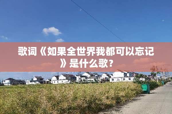 歌词《如果全世界我都可以忘记》是什么歌？