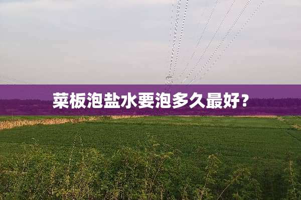 菜板泡盐水要泡多久最好？