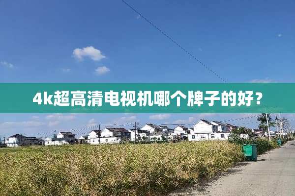 4k超高清电视机哪个牌子的好？