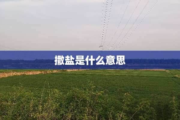 撒盐是什么意思