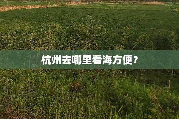 杭州去哪里看海方便？
